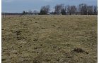 Property photo 53 - REAL ESTATE & FARM EQUIPMENT AUCTION IN ALLEN COUNTY, INDIANA